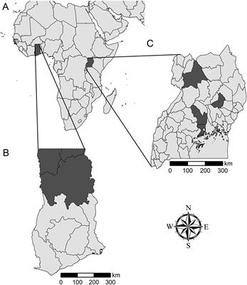 <mark class="highlighted">Consumer Preference</mark> Testing of Boiled Sweetpotato Using Crowdsourced Citizen Science in Ghana and Uganda